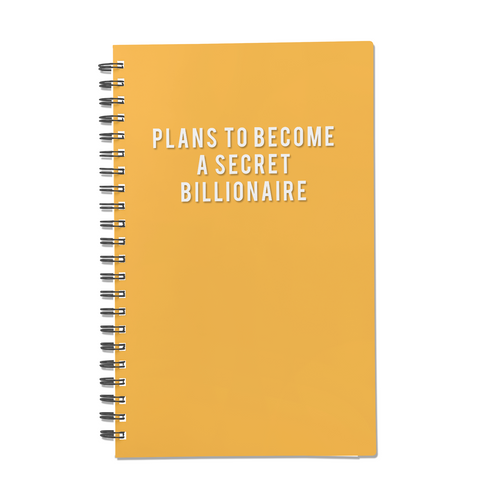 My Plans to Become a Secret Billionaire